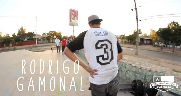 Old-Tree-Welcomes-Rodrigo-Gamonal