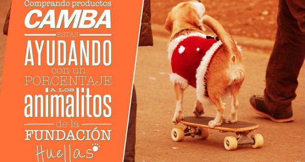 camba-fundacion-huellas