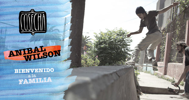 Cosecha-Skateboards-Anibal-Wilson-Bienvenido-a-la-Familia