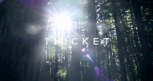 Into-the-thicket