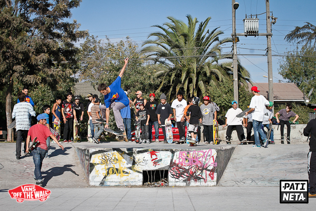 pateavans_bustafalso-26-2
