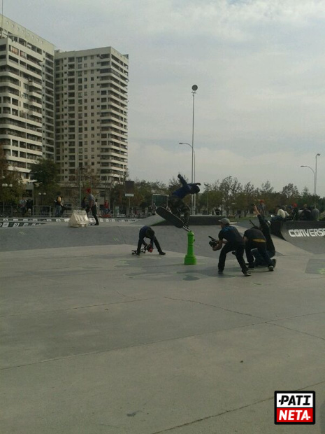 zoo york en chile 2 -7