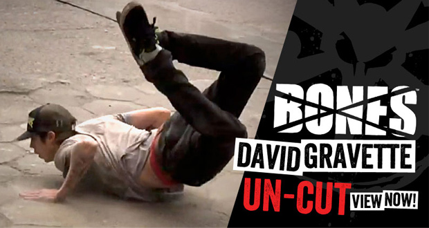 David-Gravette