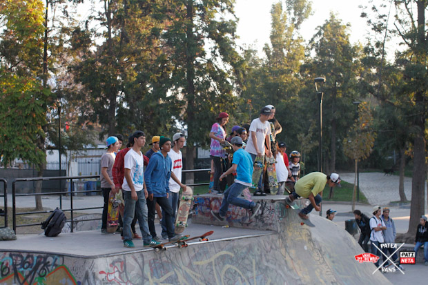 pateavans_pohiggins-14