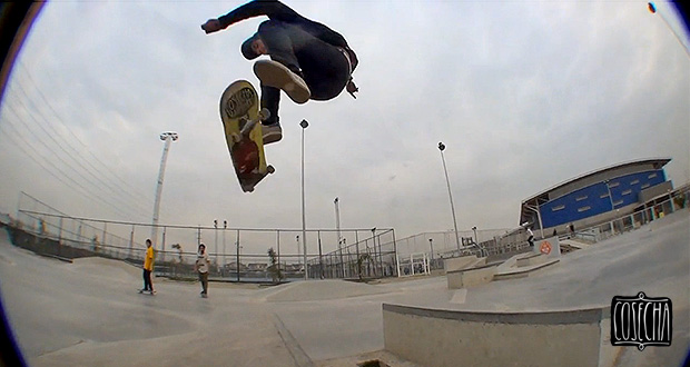 Cosecha-Skateboards-Pablo-Riquelme-Skatepark-Puente-Alto