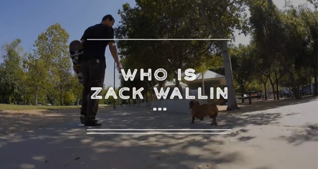 Matix-who-is-zack-wallin