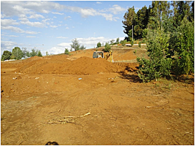 Nuevo Skatepark Collipulli-2