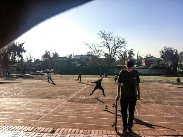 Cosecha Skates-3