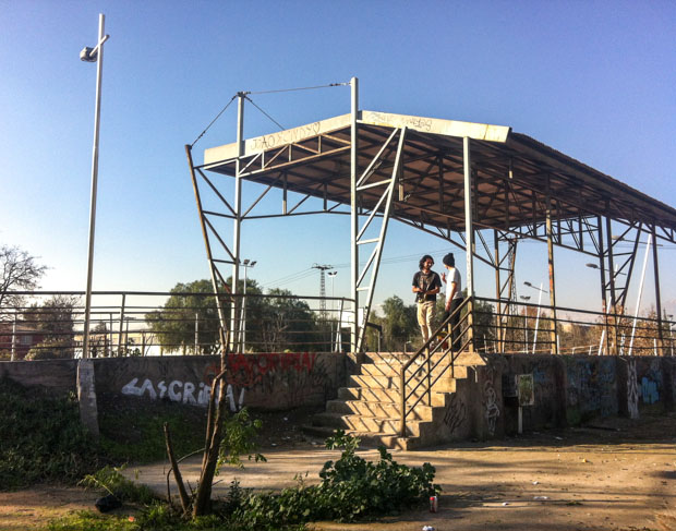 Cosecha Skates-4