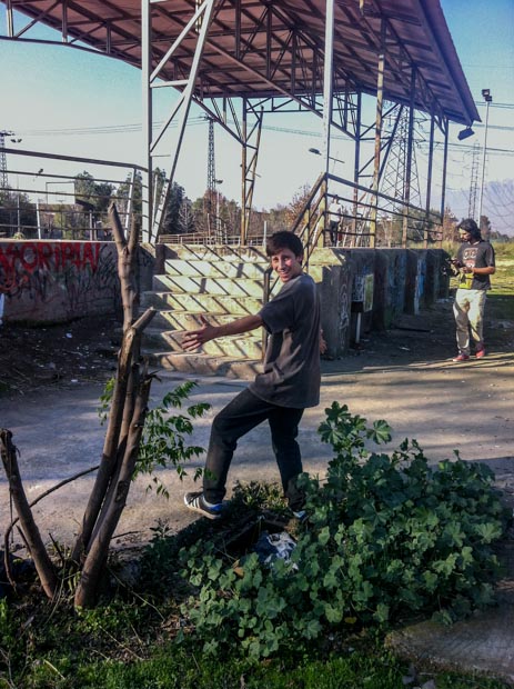 Cosecha Skates-9
