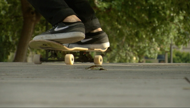 Nike-SB