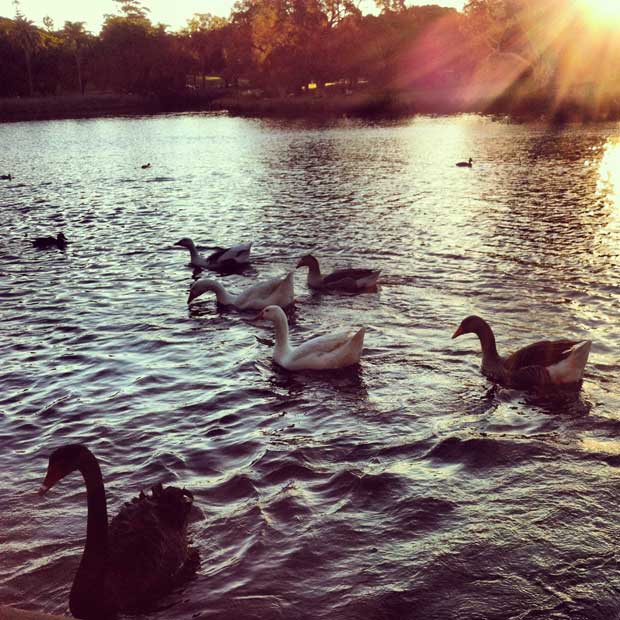 centennial-parklands-01