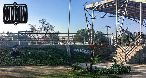 cosecha-skates-sesion-santiago-