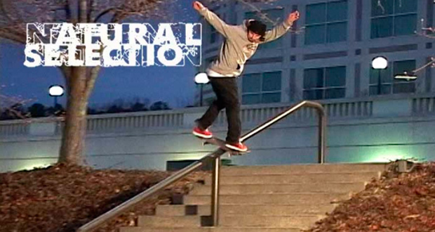 dan-murphy-dave-bachinsky-natural-selection