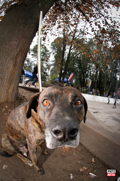 graneros-26