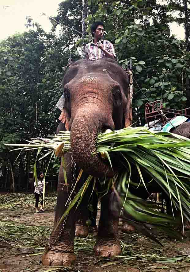 Carlos Johannes - Tailandia-37