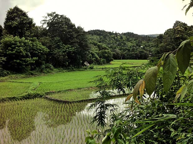 Carlos Johannes - Tailandia-39