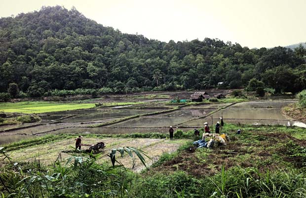 Carlos Johannes - Tailandia-40