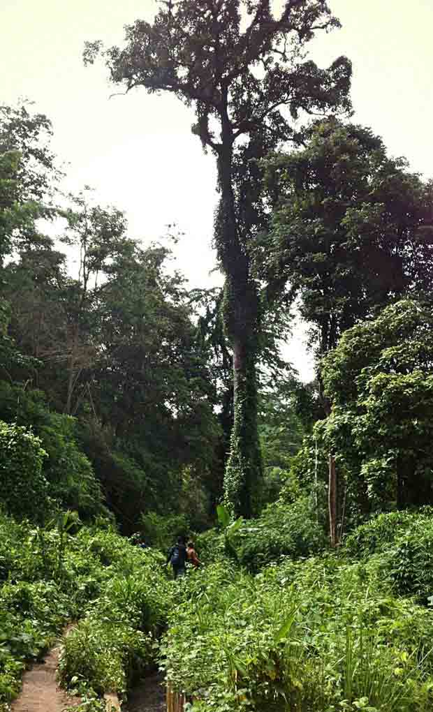 Carlos Johannes - Tailandia-45