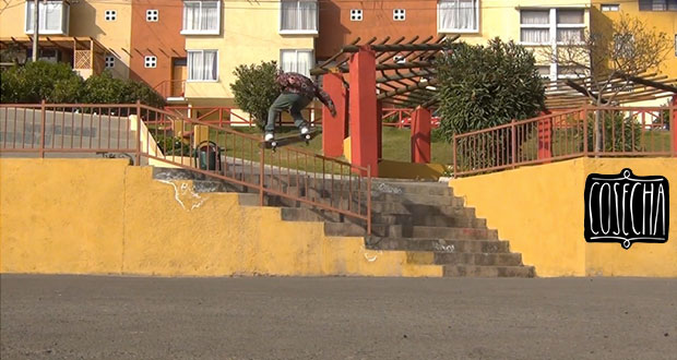 Cosecha-Skates-Wheels-Cristian-Paredes