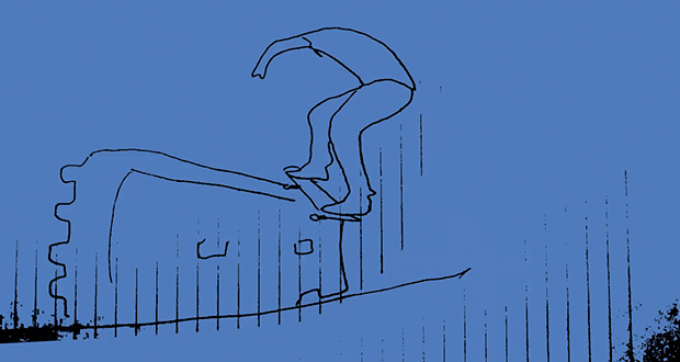Predatory-Bird--Paper-Trail