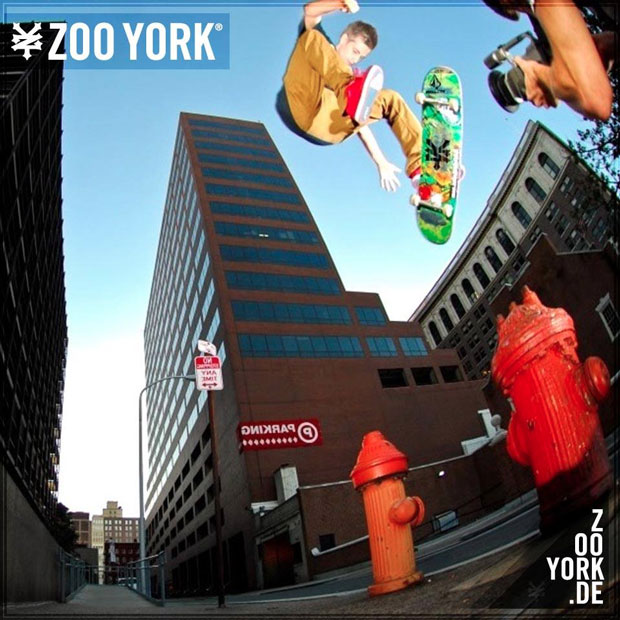 Zoo-York-Europe-Dely-Bosch-info