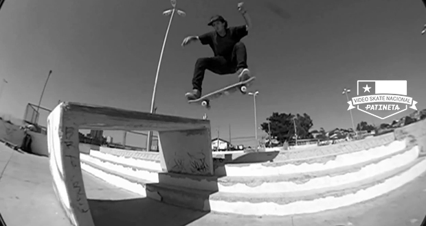 Arborea_chile---Max-Aldunate---Disciplina-Skate