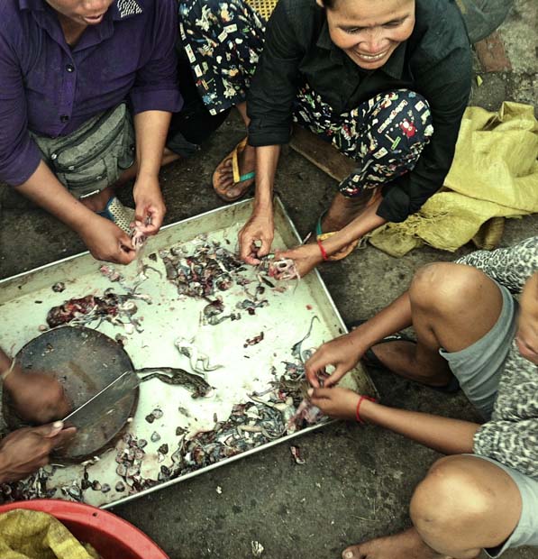 Carlos Johannes en Cambodia-10
