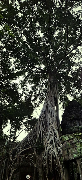 Carlos Johannes en Cambodia-17