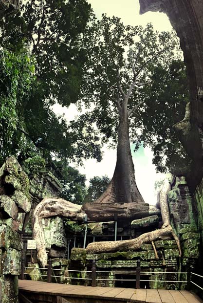 Carlos Johannes en Cambodia-18
