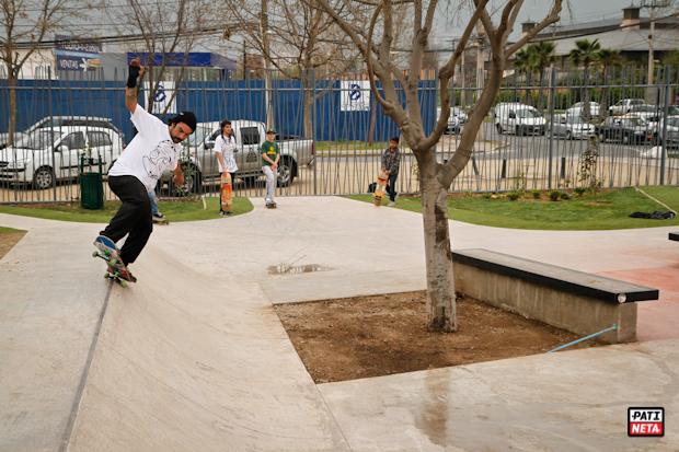 skatepark_lascondes-23