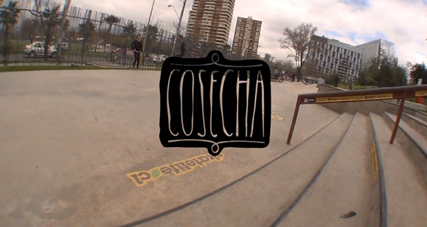 Cosecha-Skateboards-en-el-Streetpark-de-Las-Condes