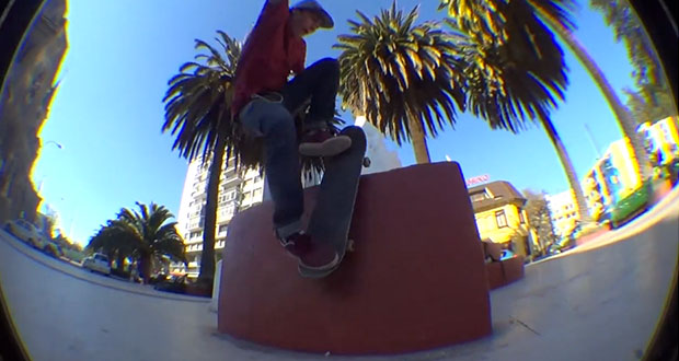 Destroi-Skateboards-2013