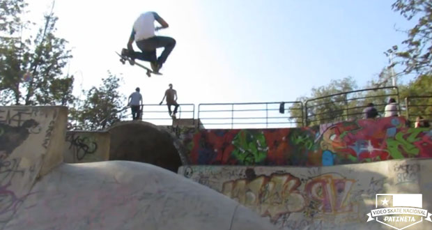 Skatepark-Parque-O'Higgins--Amigos-en-OH!!!