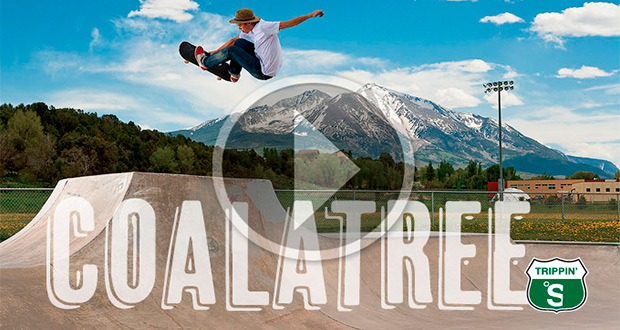 Trippin’-with-Coalatree