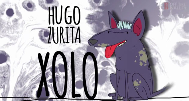 Vans-Hugo-Zurita-Xolo