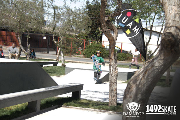 inauguracion skatepark el pinar-48