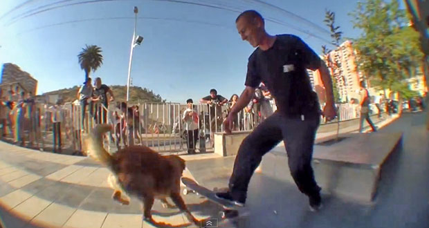 Zooyork-Santiago-New-York-Demo-Streetpark-Tepian-por-Faz-Prod