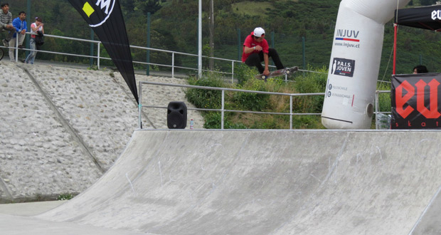 injuv_skatearaucania-post