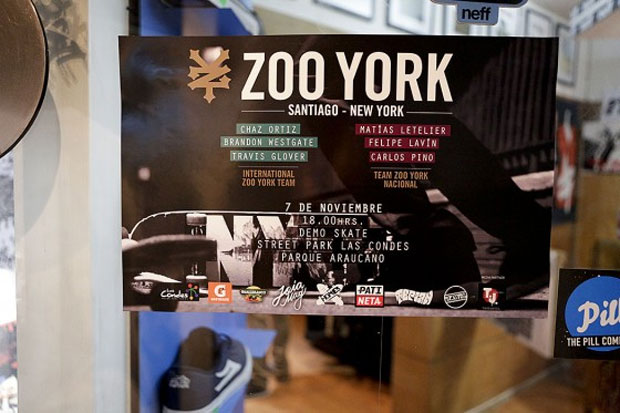 zoo-york-chile-day-2-1