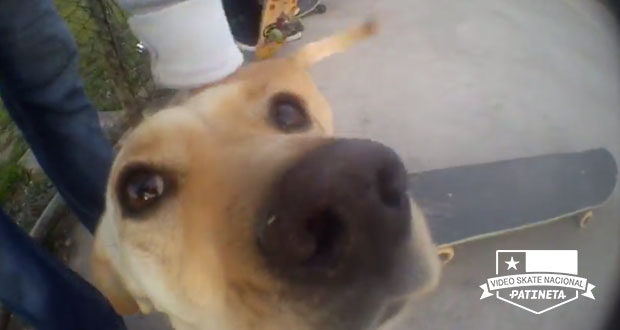 Chon-Go-Skate-Team-Pronto