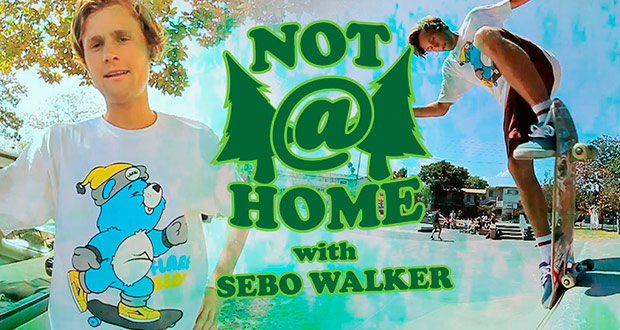 Mob-Grip-Not-At-Home-with-Sebo-Walker