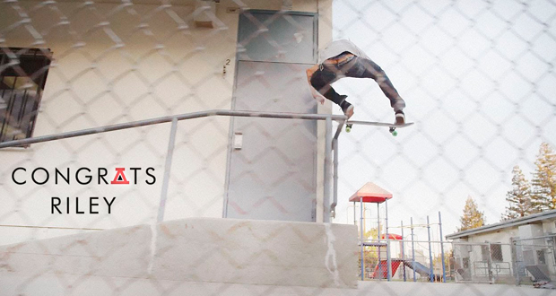 rileyhawk