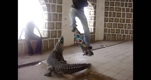 Jenkem--WTF--Wild-Crocodile-Ollie
