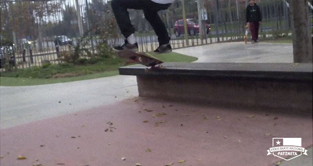 Max-Aldunate-Skatepark-Las-Condes