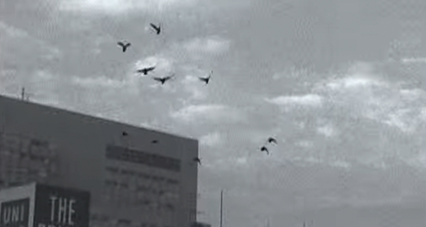 T-O-R-I-O-T-O-K-O---TokyoStory