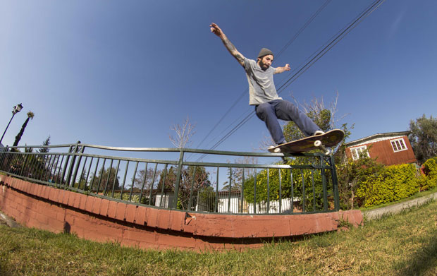 pato-melon-fs-feble-dif-
