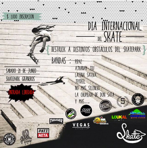 GOSK8DAY-2