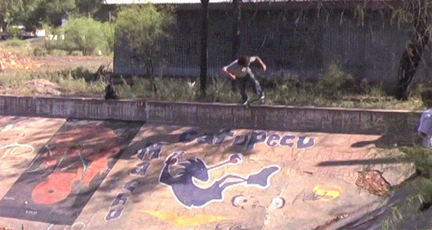 Semilla-Skateboards--Raíces-–-Felipe-de-la-Barra-patineta