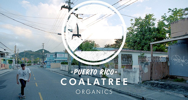 Coalatree-Organics--Puerto-Rico